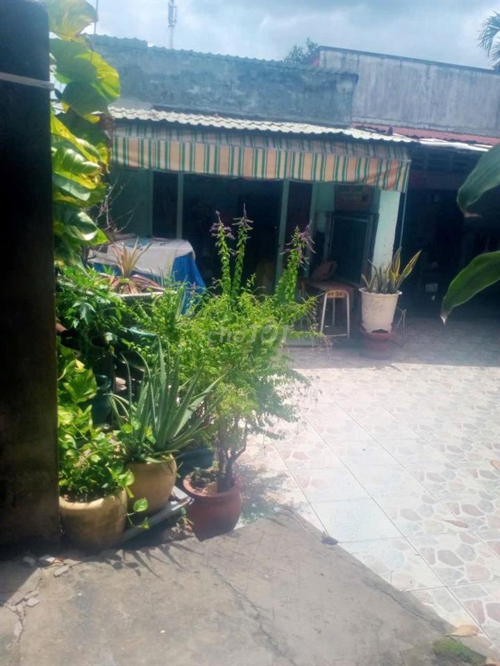     Bán nhà đất 183m² có 3 nhà cấp 4, gần chợ Tân Phước Khánh 2ty9 