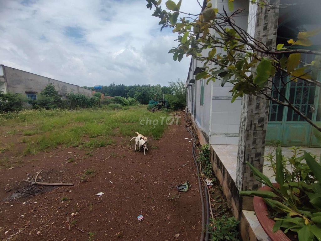 bán nhà Đồng Nai