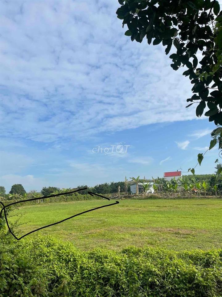 lô đất đầu tư