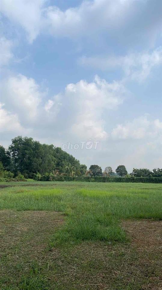 lô đất đầu tư