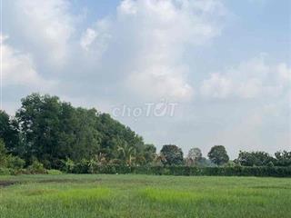 lô đất đầu tư