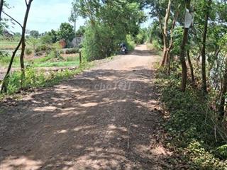 Bán đất chính chủ 1291m² Tân thạnh Long An