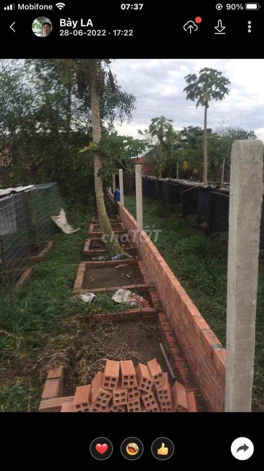 BÁN ĐẤT THỔ CƯ LONG AN CHÍNH CHỦ
