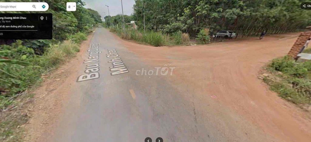 bán đất và nhà xưởng cưa xẻ gỗ cao su , băm củi