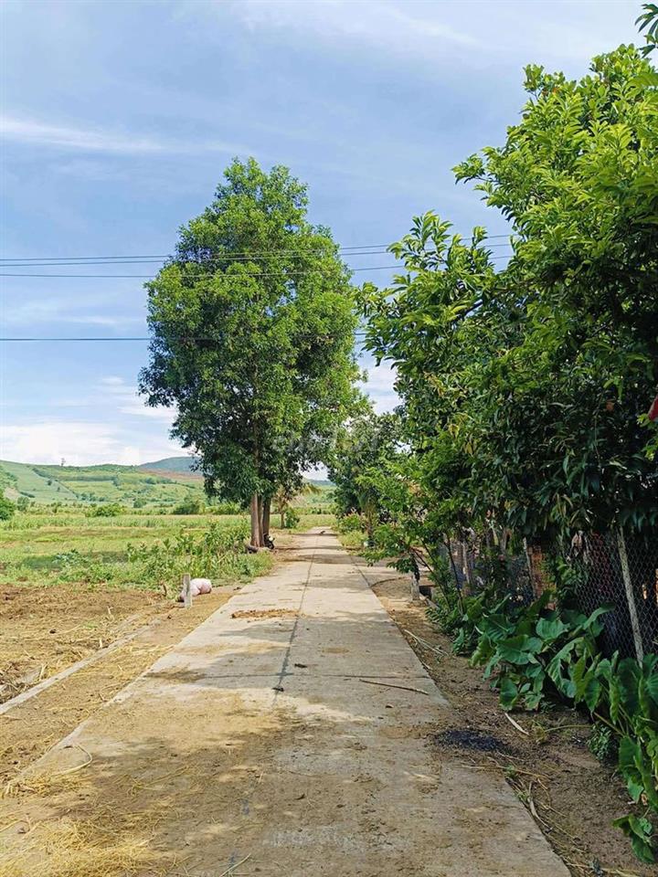 Đất nền Đắk Lắk