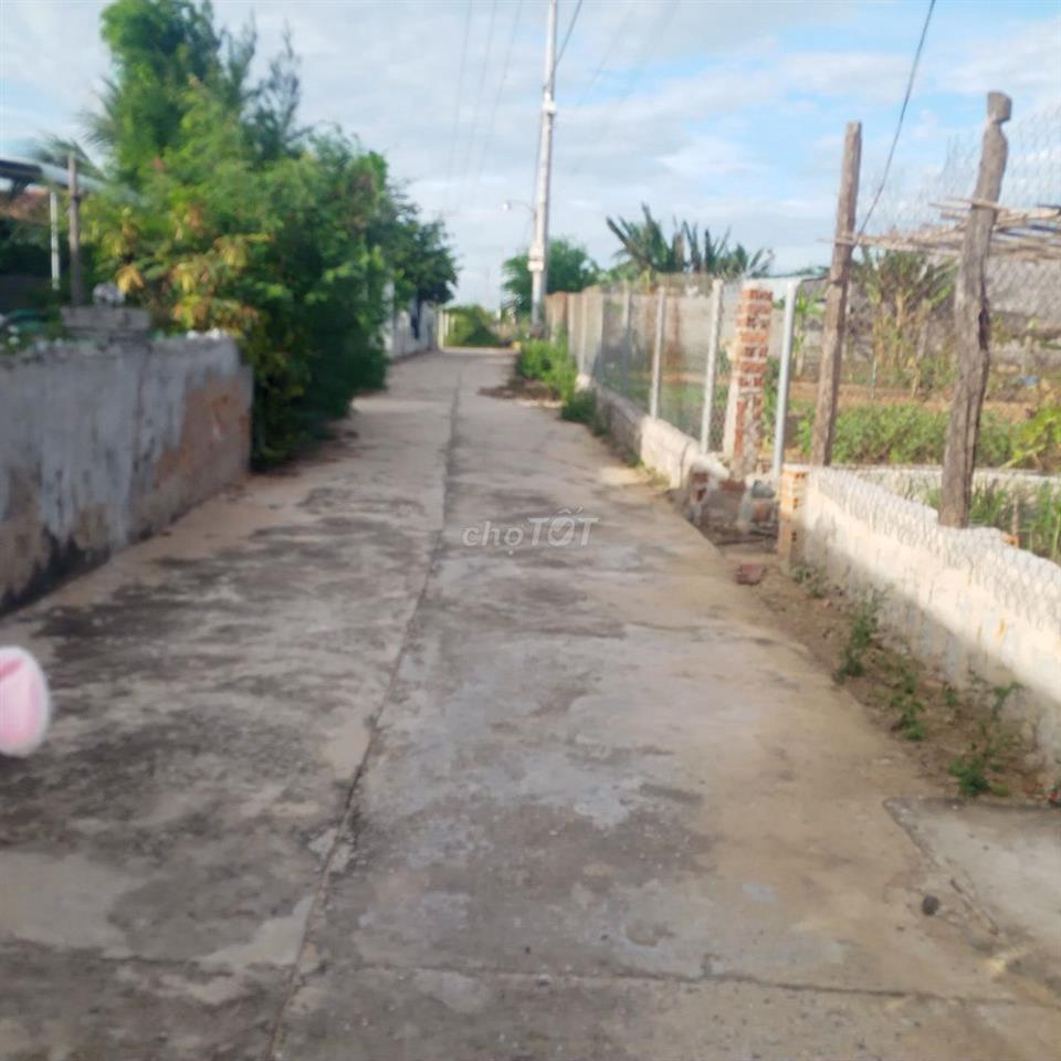 Cho thuê nhà cấp 4 nguyên căn