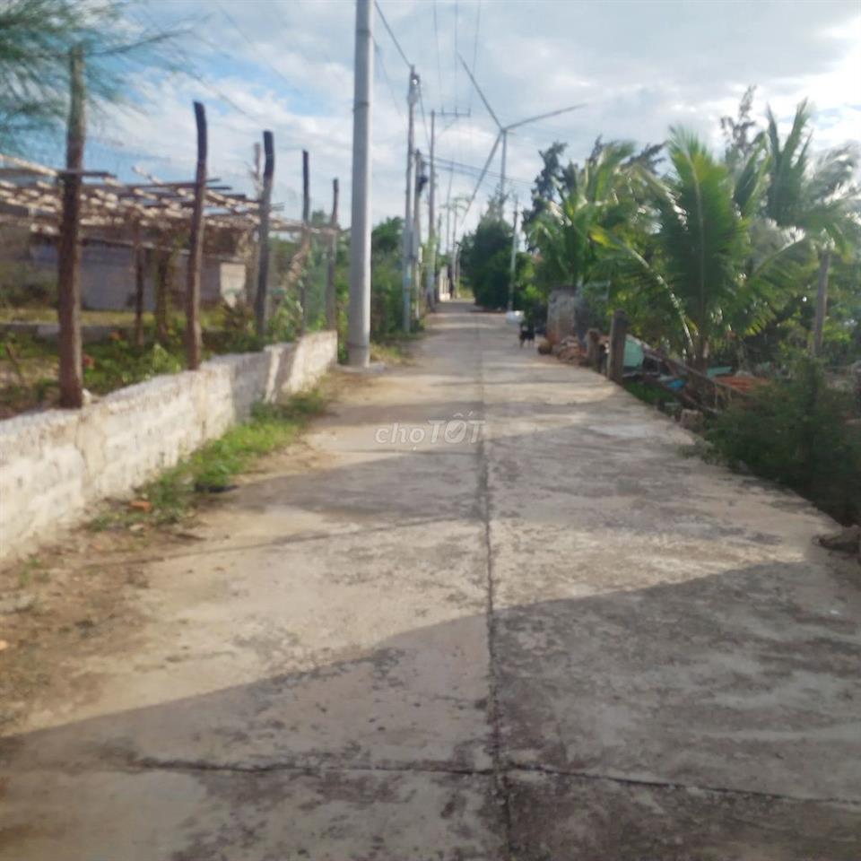 Cho thuê nhà cấp 4 nguyên căn