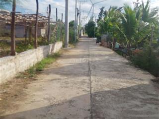 Cho thuê nhà cấp 4 nguyên căn