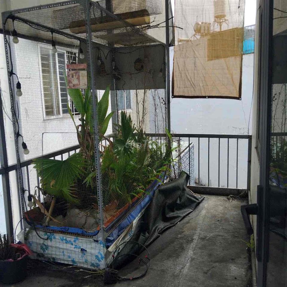 Phòng máy lạnh có ban công lầu 2 khu dân cư An Sương quận 12