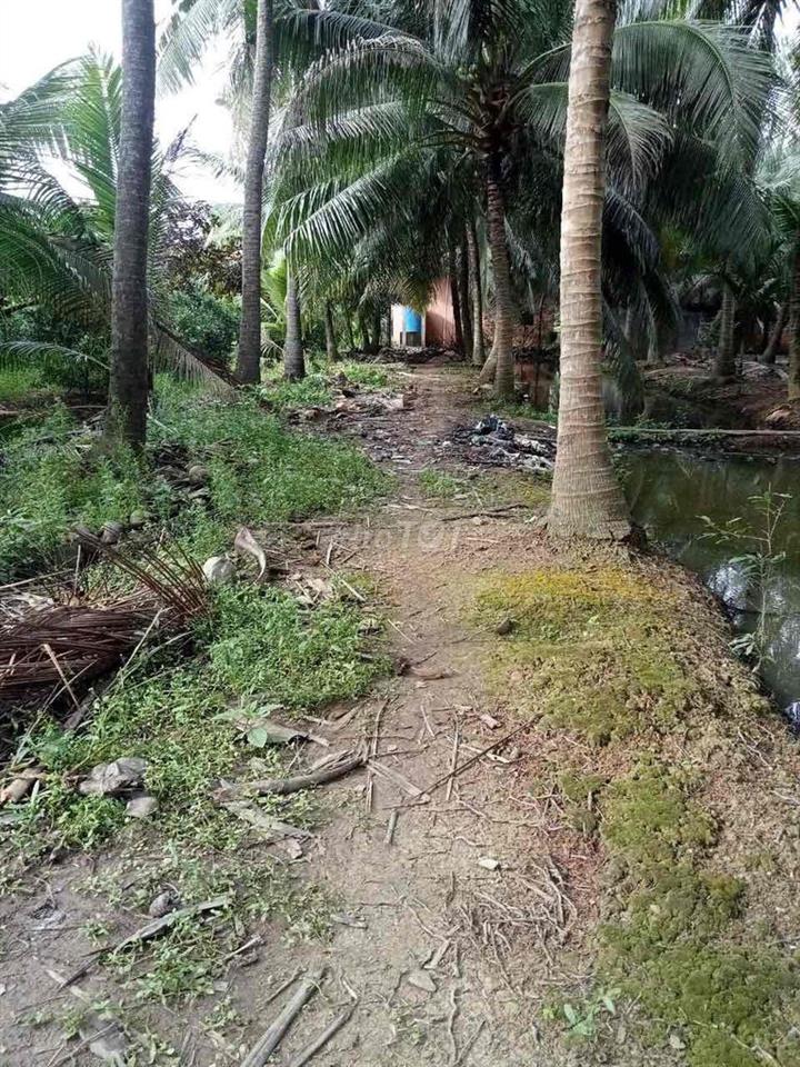 Đất SHR Thổ Vườn 1434m sát MT Nam Sông Hậu Cần Thơ mới