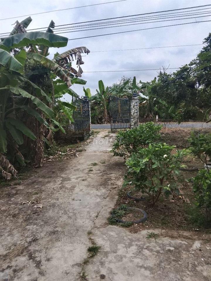 Bán Đất Vườn Có Thổ Cư Vĩnh Long
