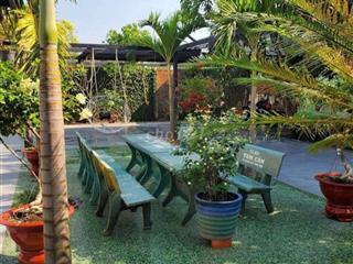 cho thuê nhà sân vườn có hồ bơi ở hốc môn