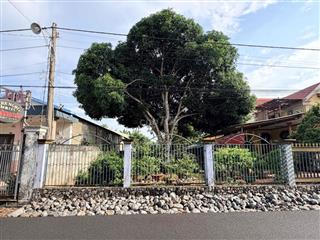 cần tiền bán gấp đất ở Xuyên Mộc, Thành Phố Hồ Chí Minh