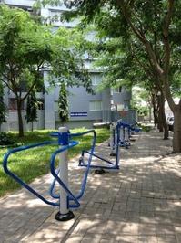 CHÍNH CHỦ BÁN CĂN HỘ PHÚ MỸ THUẬN 3PN 95M2 - TẦNG THẤP