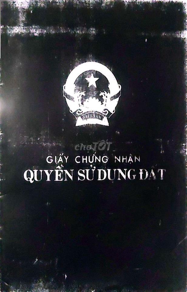 Bán Nhà Trịnh Quang Nghị Phong Phú Bình Chánh