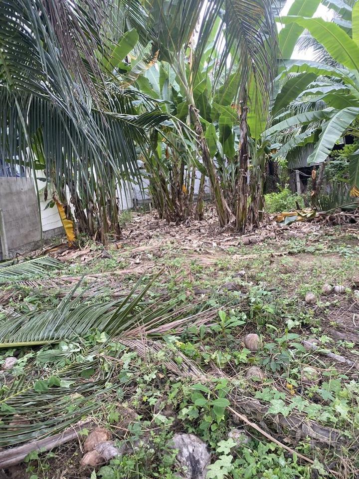 BÁN ĐẤT 267M² ĐẤT Ở LÂU DÀI – DIÊN THẠNH, DIÊN KHÁNH, KHÁNH HÒA