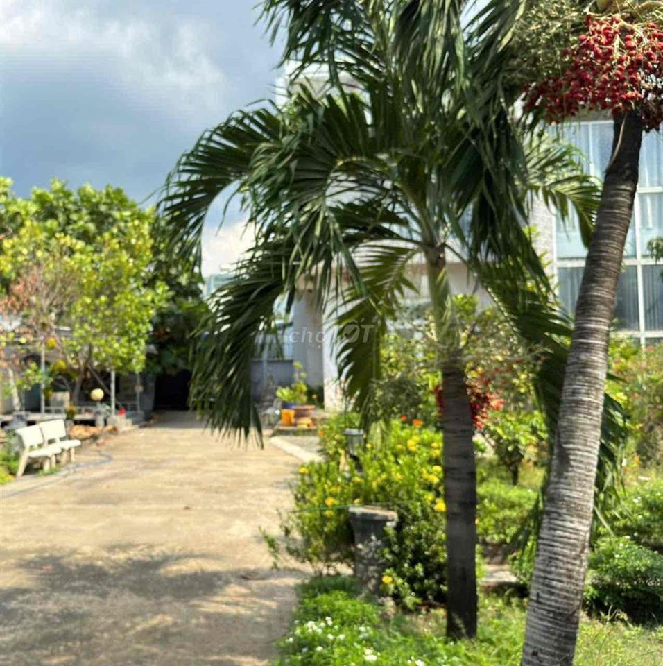 Bán Nhà Vườn 1000m2 View Sông Biên Hoà TP Đồng Nai