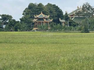 bán đất nông nghiệp
