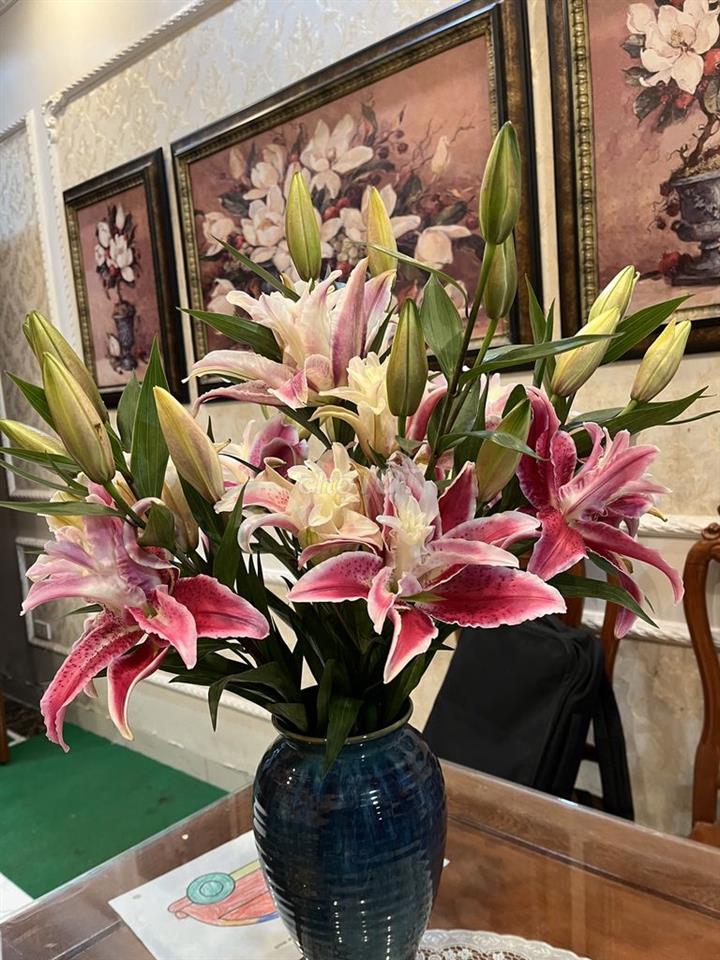 Cho thuê nhà ở Kim Mã