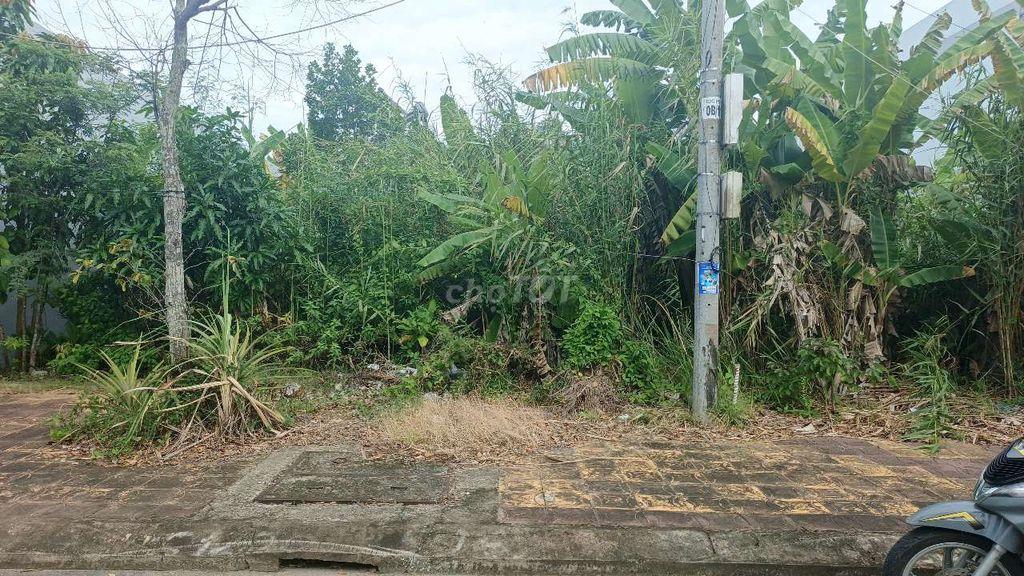 Nền đường Lạc Long Quân phường Vị Tân