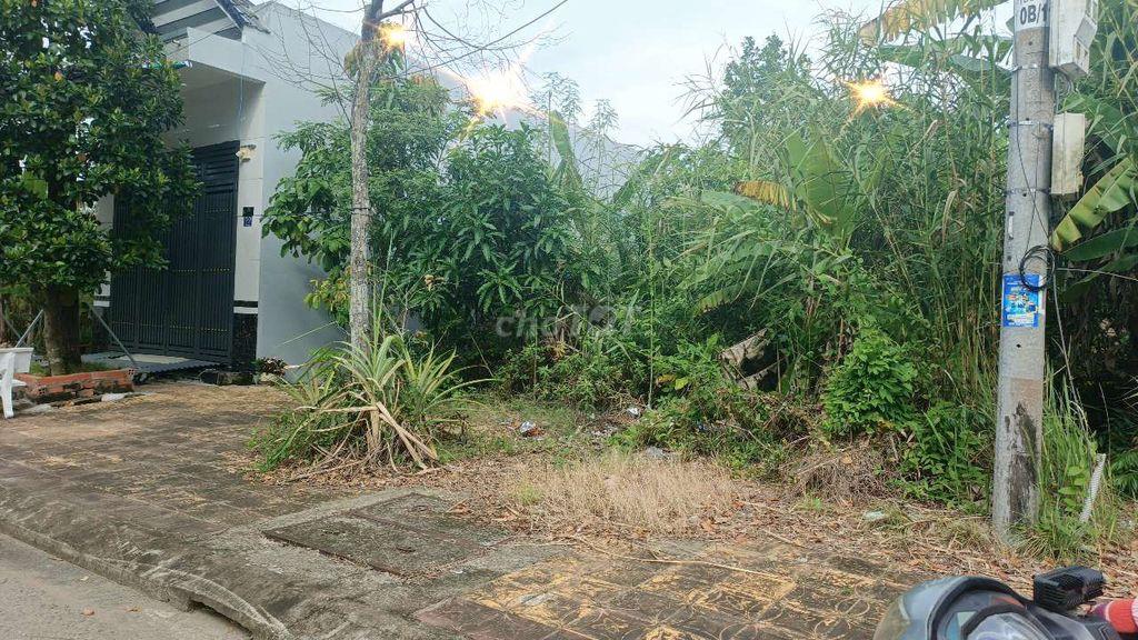 Nền đường Lạc Long Quân phường Vị Tân