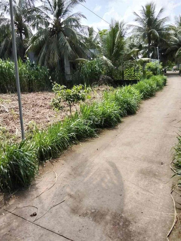 đất làm nhà vườn rẻ