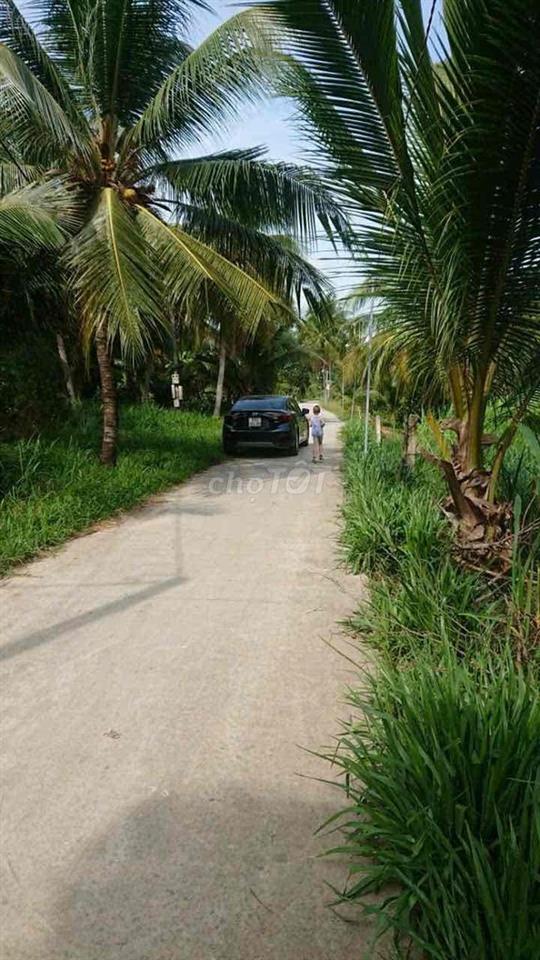 bán đất nhà vườn giá rẻ
