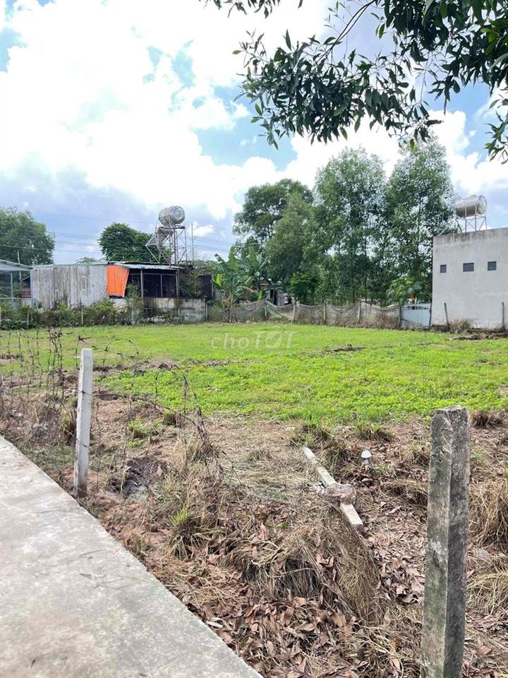 bán đất thỗ cư