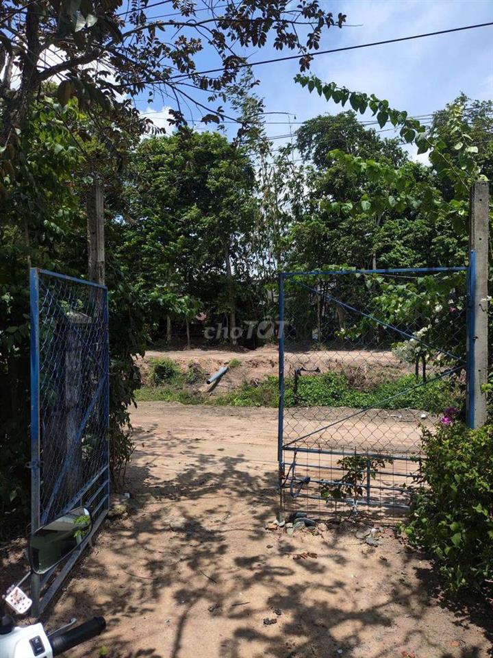 Bán nhà vườn Xã Tân An Hội