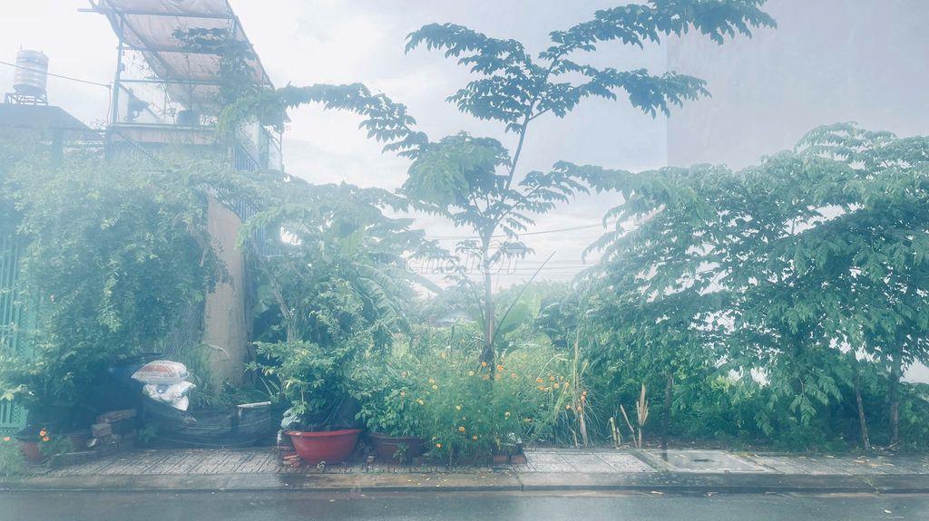 CHÍNH CHỦ BÁN ĐẤT LONG PHƯỚC | 60M² | ĐƯỜNG 8M | FULL THỔ CƯ