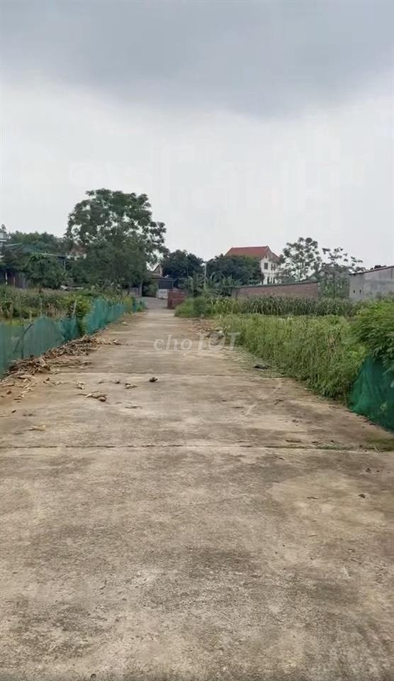 ĐẤT NỀN 120m2, ĐƯỜNG 12M, BĂNG 4 KHU DC ĐỒNG MỒNG XUNG, THANH ĐÌNH, VT