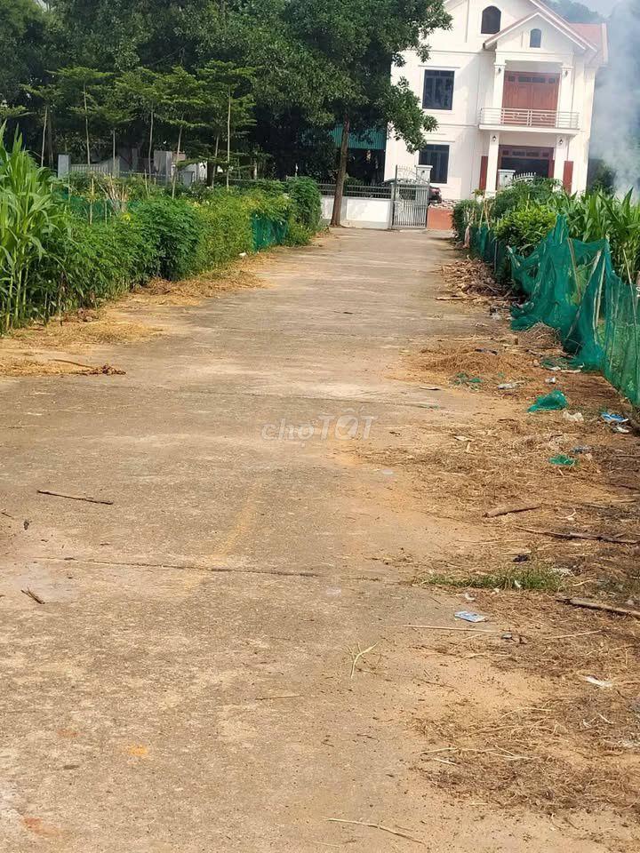 ĐẤT NỀN 120m2, ĐƯỜNG 12M, BĂNG 4 KHU DC ĐỒNG MỒNG XUNG, THANH ĐÌNH, VT