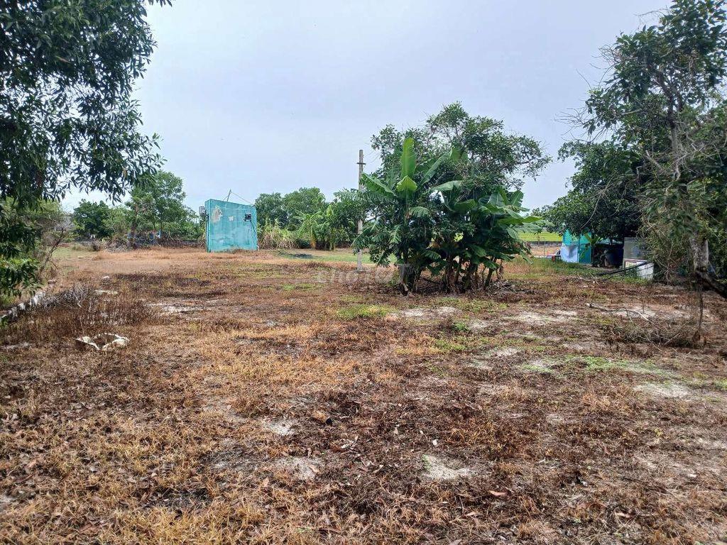 cần cho thuê đất lâu dài. 