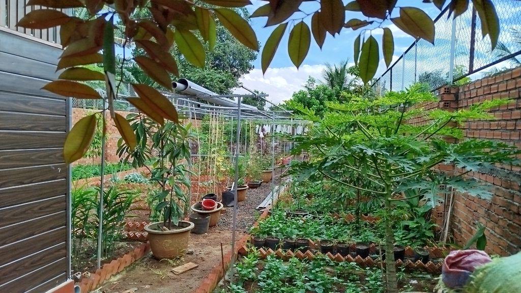Bán Nhà Vườn