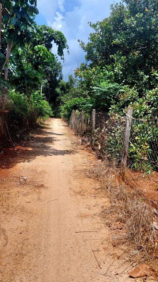 🌟 CHÍNH CHỦ NHỜ BÁN LÔ ĐẤT ĐẸP – HÒA LONG, TP. BÀ RỊA 🏡