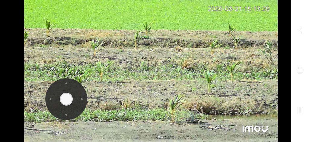 Bán đất nông nghiệp