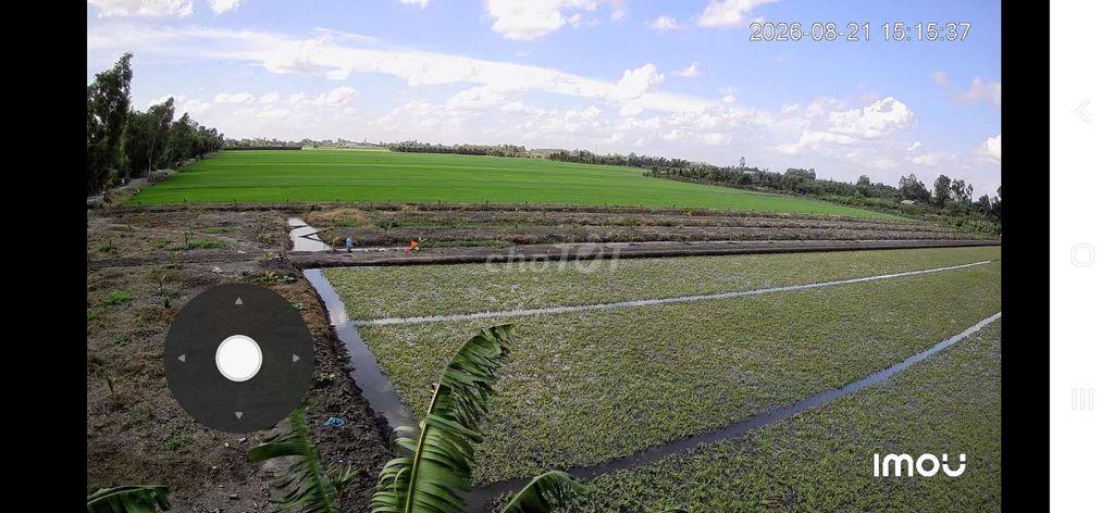 Bán đất nông nghiệp