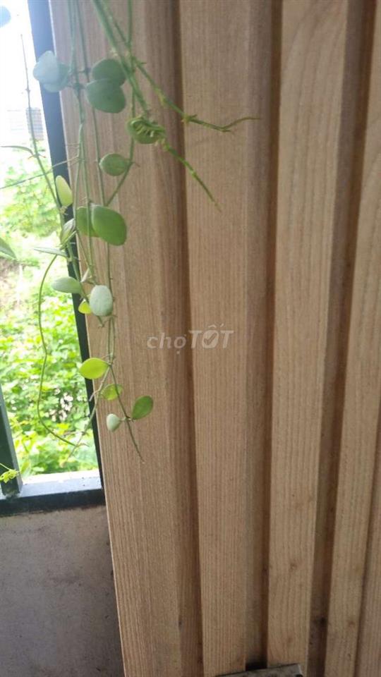 cần bán lô đất giấy tay