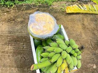 Cần bán 3 lô sổ chung