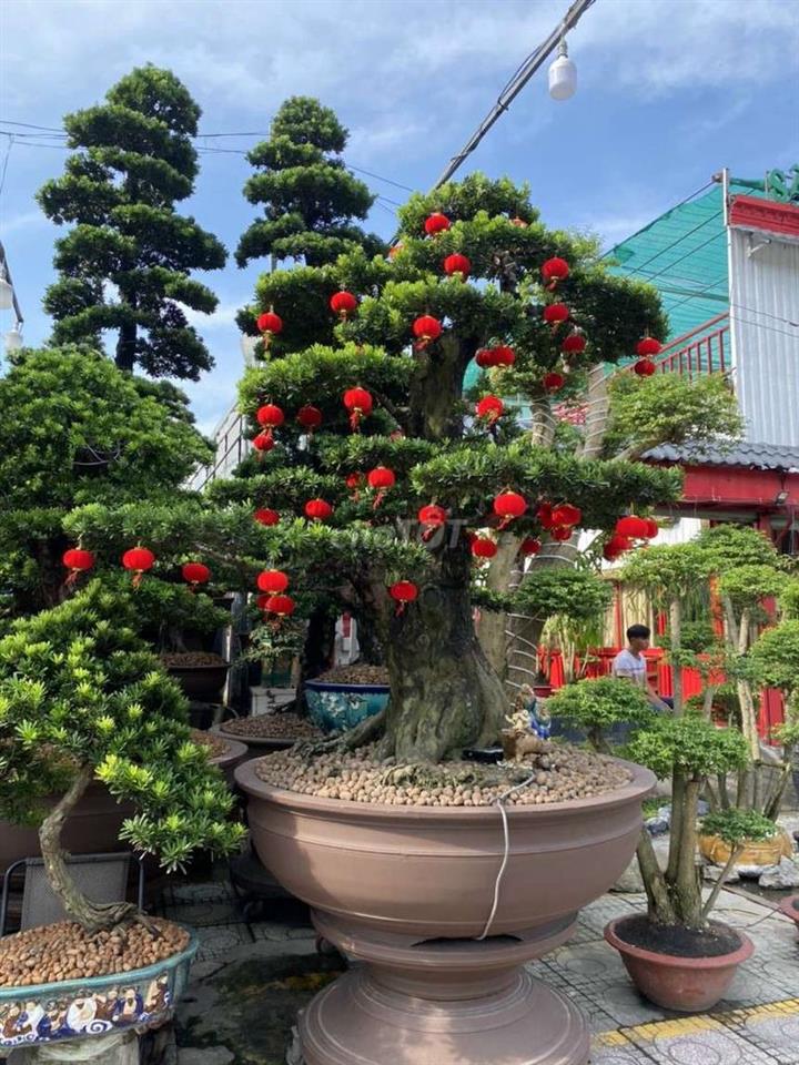 Đất Vườn Cây 6300 m2, Quốc Lộ 22.