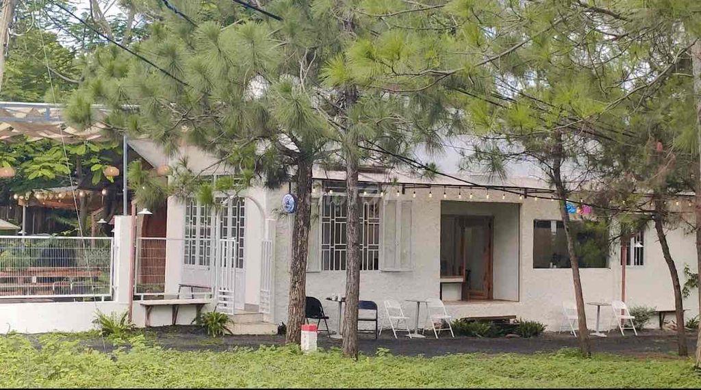 700M² MẶT TIỀN 19/5 – ĐỐI DIỆN RỪNG THÔNG, GIÁ CHỈ 1 TỶ XXX!