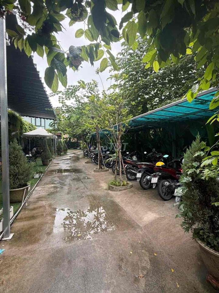 MẶT BẰNG KINH DOANH KHU SẦM UẤT NGUYỄN VĂN LƯỢNG P16 GÒ VẤP DT 500m2