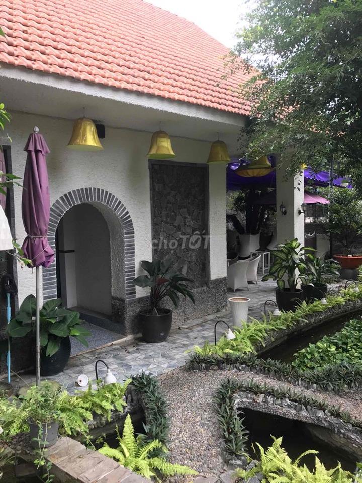 Bận việc sang gấp cafe sân vườn sang trọng