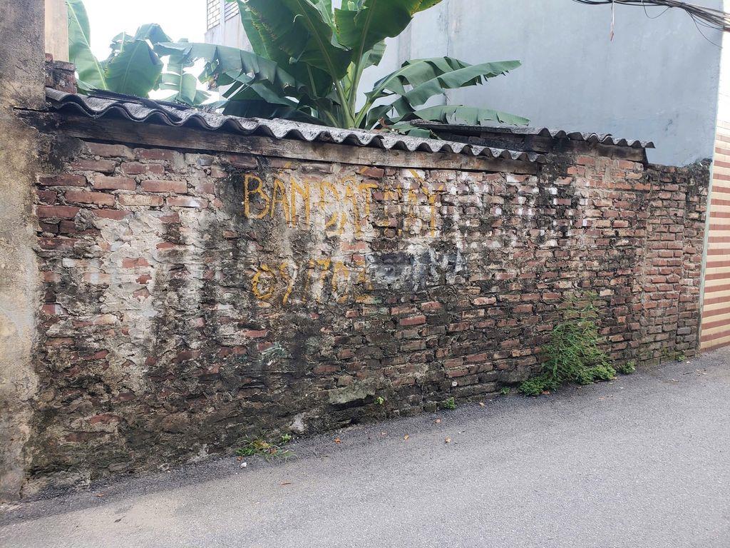 Cho thuê đất nền Thuý Lĩnh