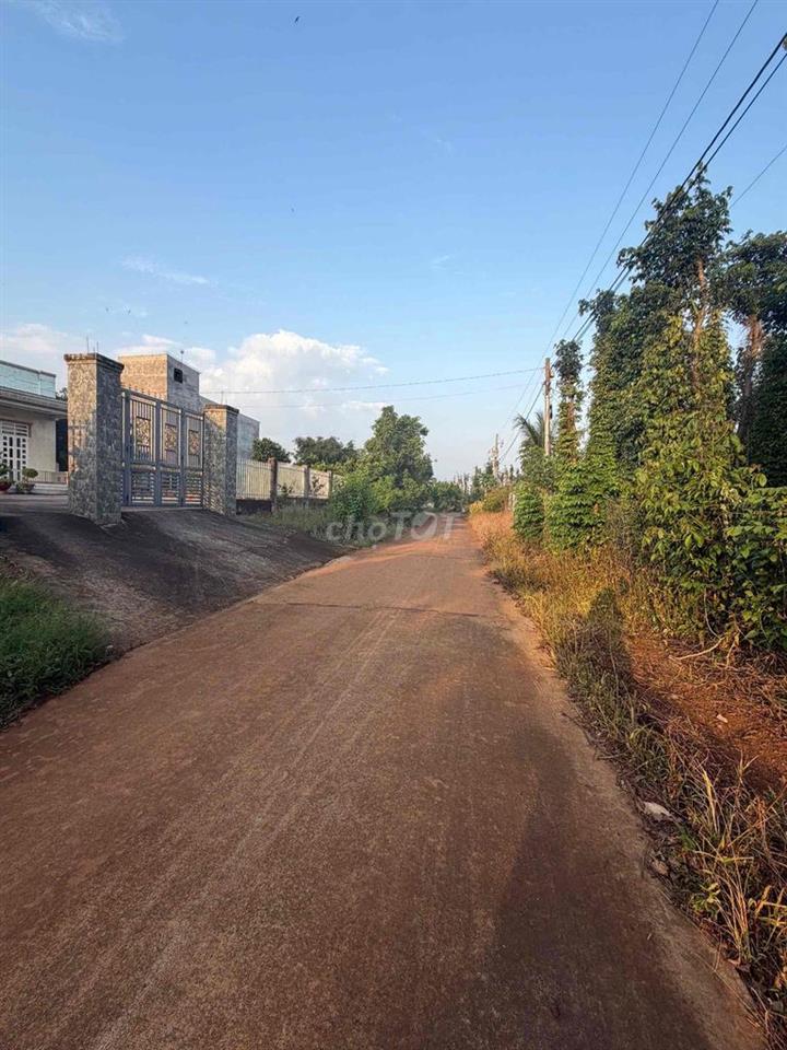 CHÍNH CHỦ bán nguyên khối 11.446m2 gần Hồ Sông Ray 300tc + nhà yến