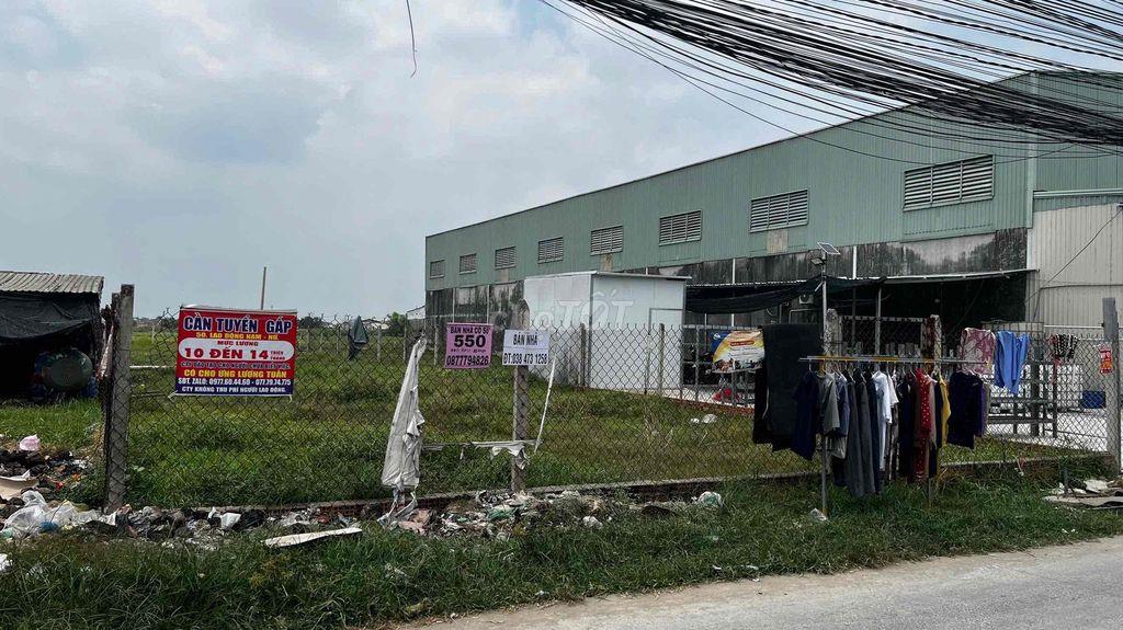 đất nông nghiệp ở đức hòa long an 5500m2 cần bán gấp thương lượng mạnh