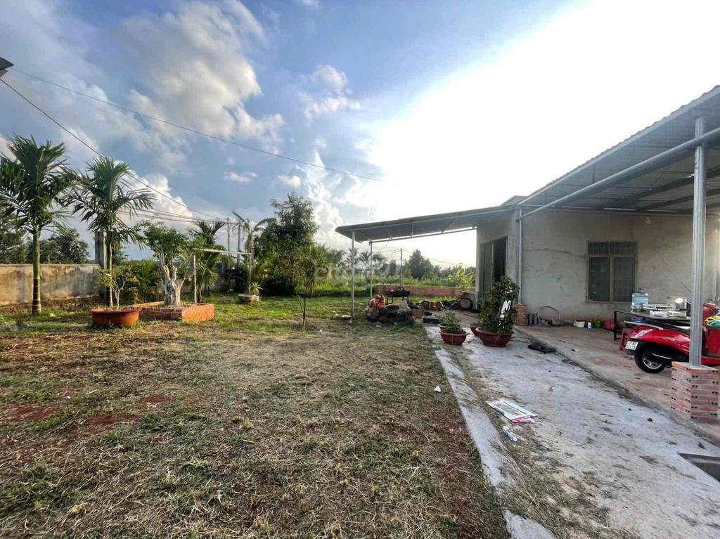 bán nhà vường 2.000m2