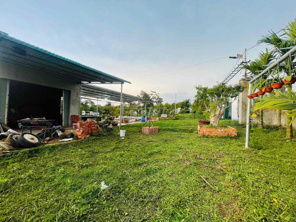 bán nhà vường 2.000m2