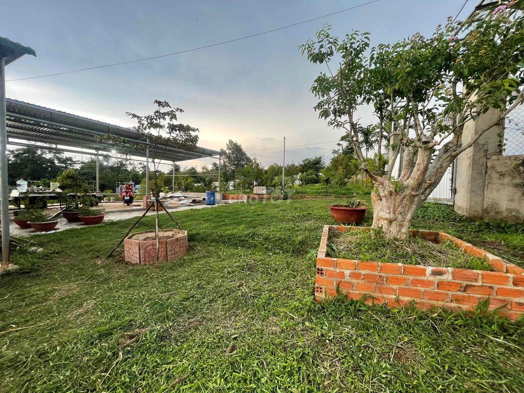 bán nhà vường 2.000m2