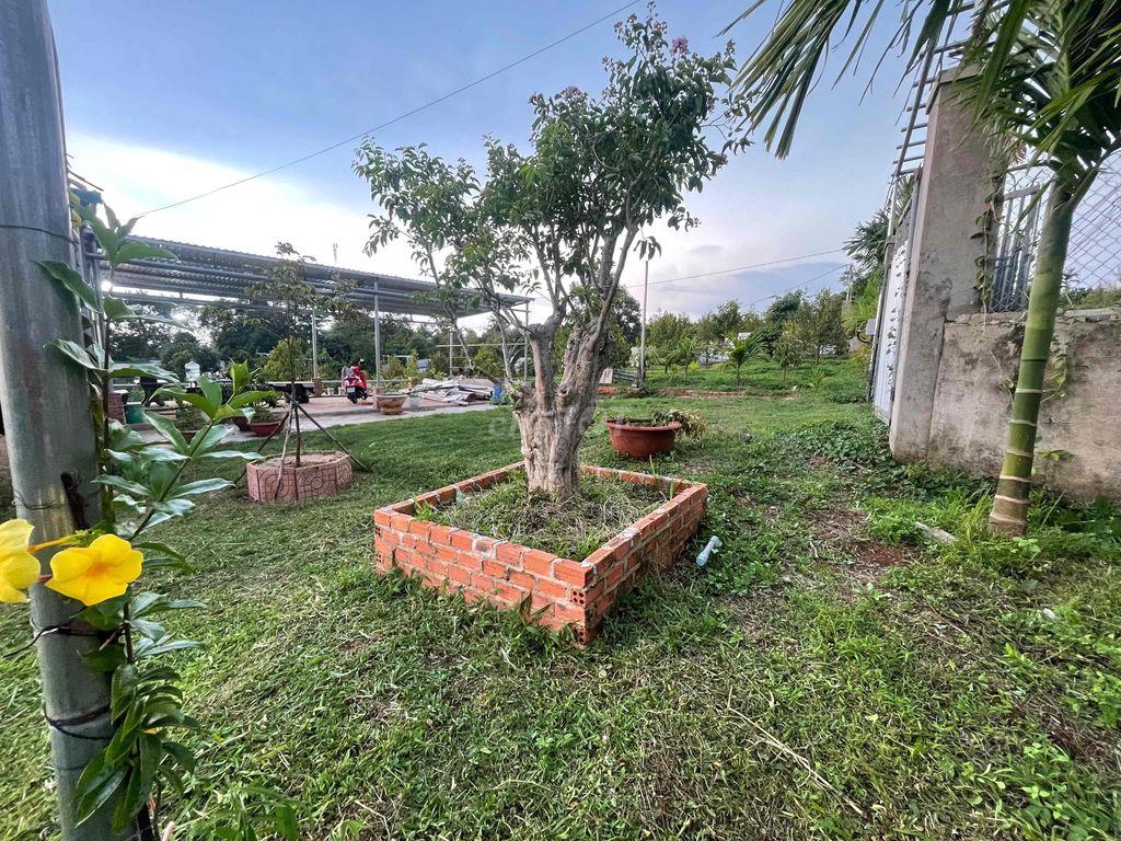 bán nhà vường 2.000m2